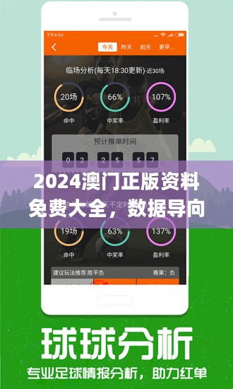 2024澳门王中王100%期期中,公正解释解析落实