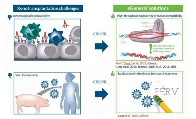 广东省萌美生物，探索生物科技的新领域