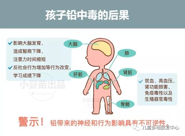 如何应对六个月宝宝铅高问题