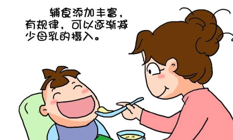 宝宝11个月断奶早吗？解读婴幼儿营养与断奶时机