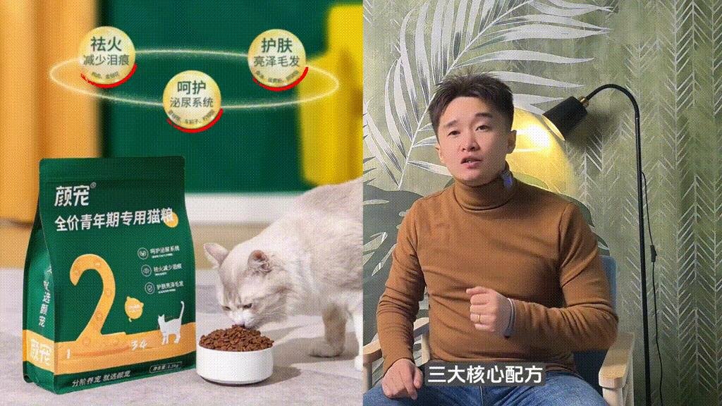 小猫的成长之路，何时开始吃猫粮？