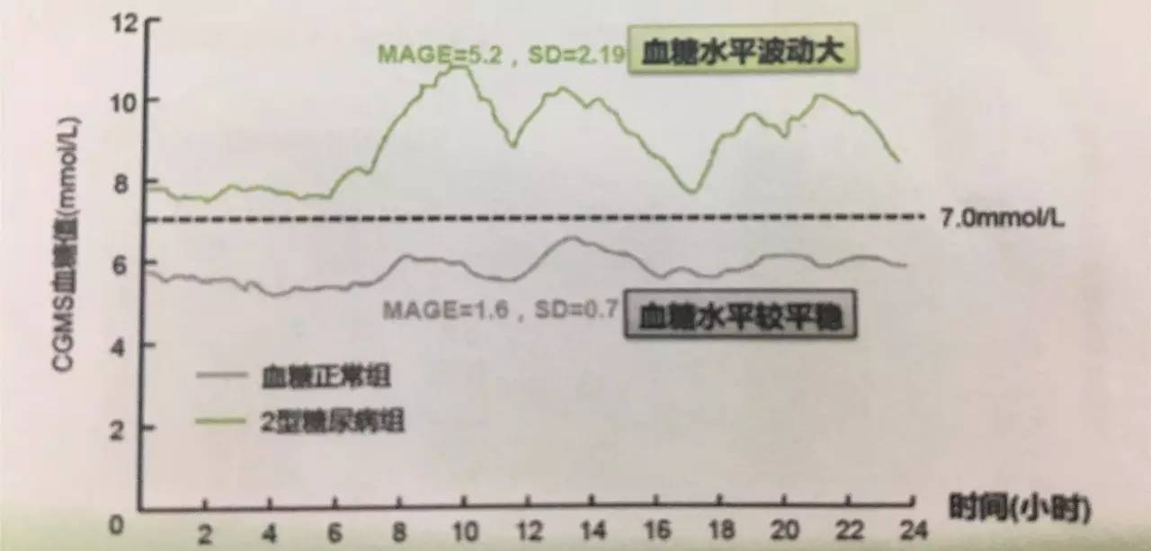 探究三个月血糖平均值的重要性及其影响因素